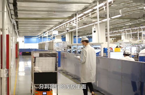 名校高材生投身制造业 智能家居设备领域的机遇与挑战